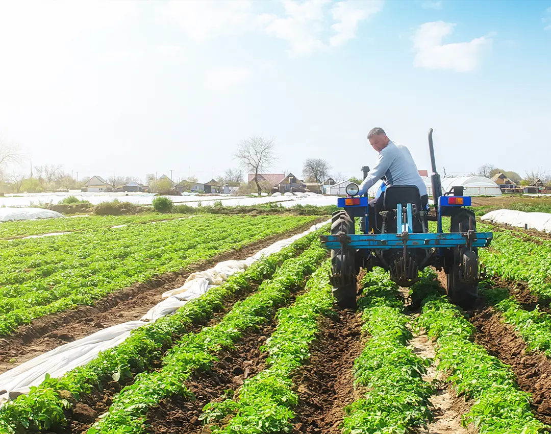 The Best Compact Tractors of 2024: A Comprehensive Review