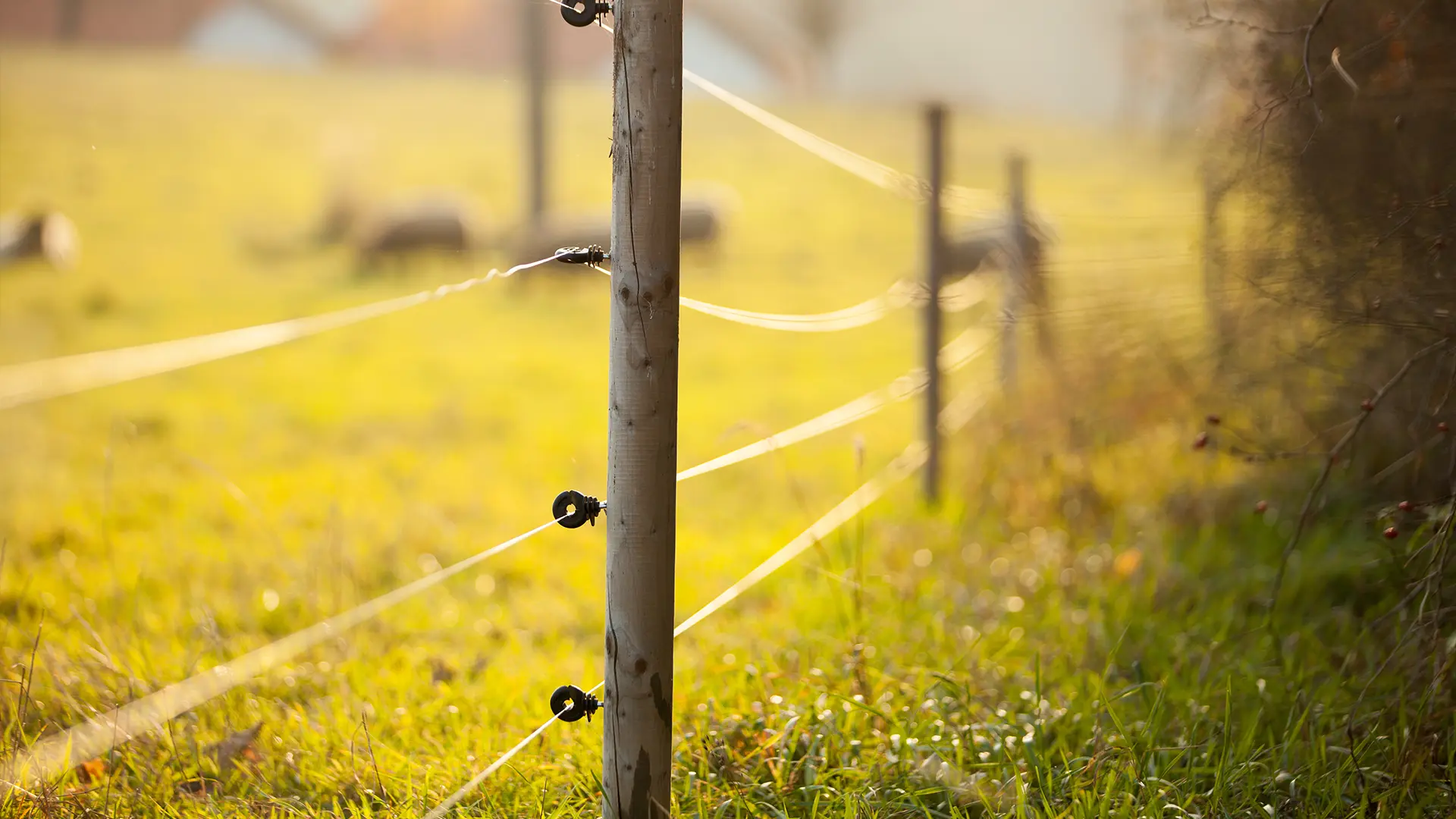 Electric-fence