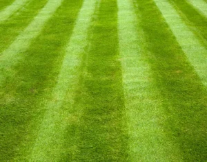 The best way to mow your grass