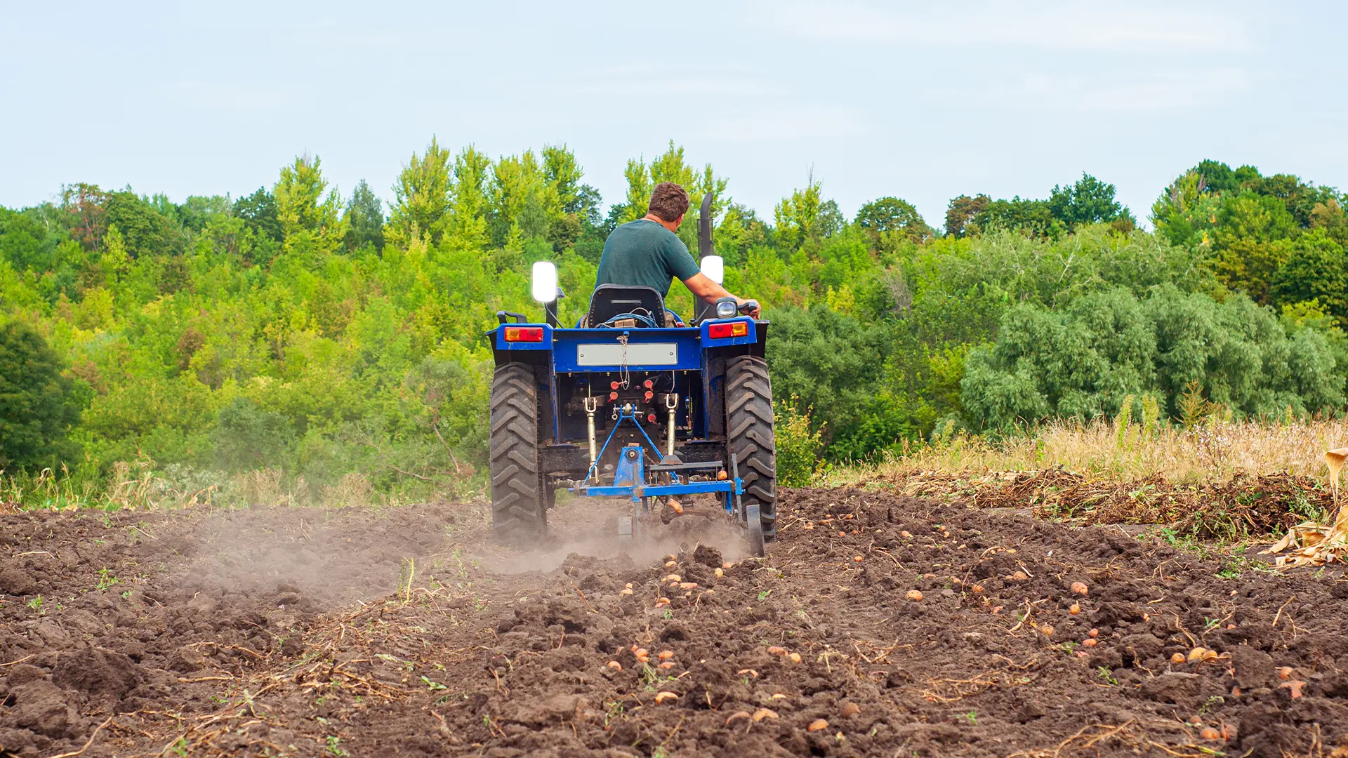 4. New Holland Workmaster 25S