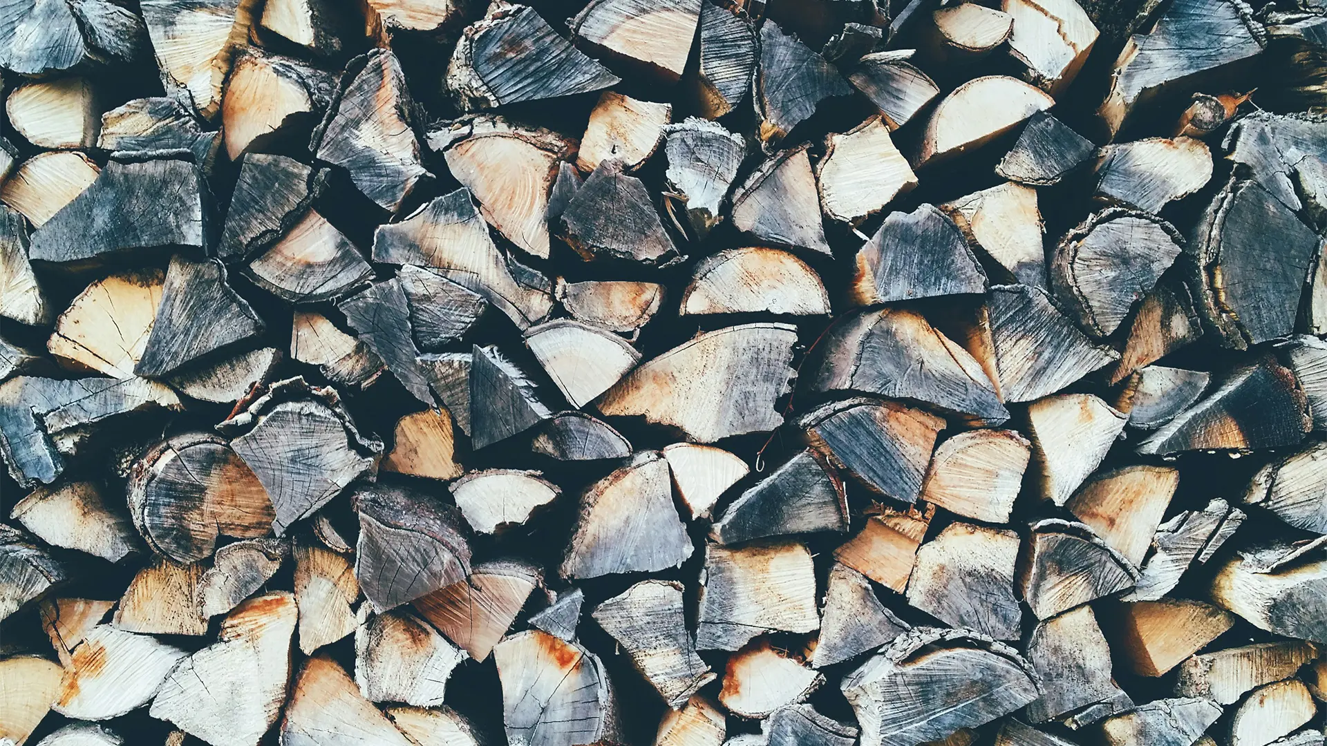 Firewood